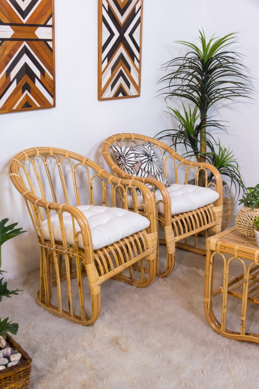 Tyas Chair With White Cushion – Set of 2