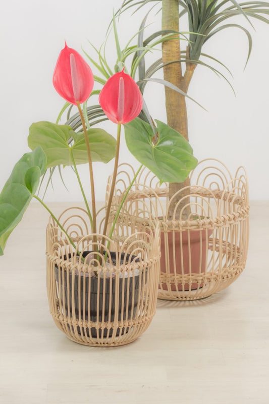 Flower Basket Set Of Three