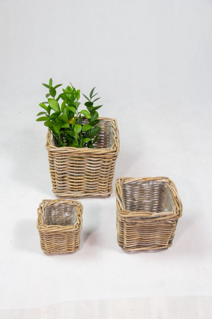 Rattan planter Verona – boho decor handcrafted in Bali by BaliSouk