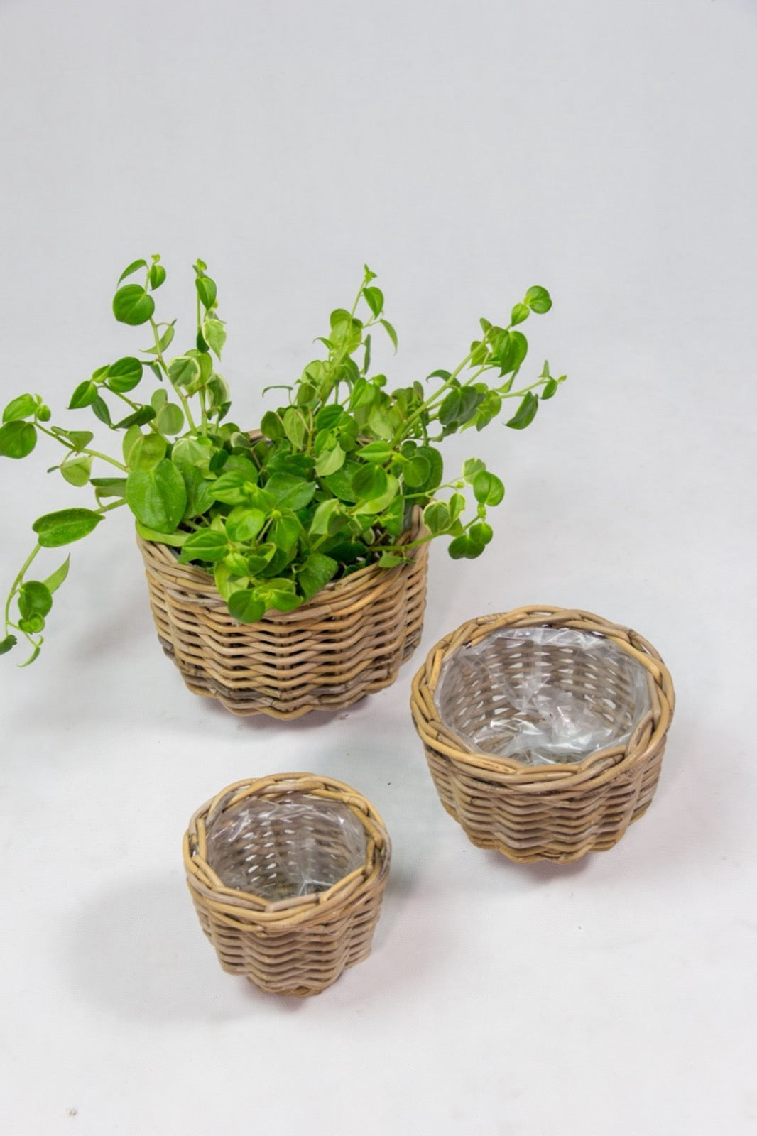 Rattan planter – Verona – boho decor handmade in Bali by BaliSouk