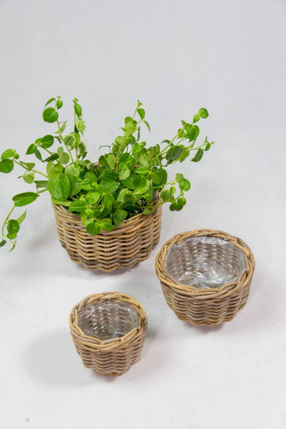 Rattan planter – Verona – boho decor handmade in Bali by BaliSouk