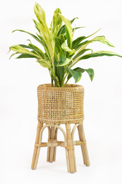Rattan plant stand – Doro Flower, natural natural materials in boho style
