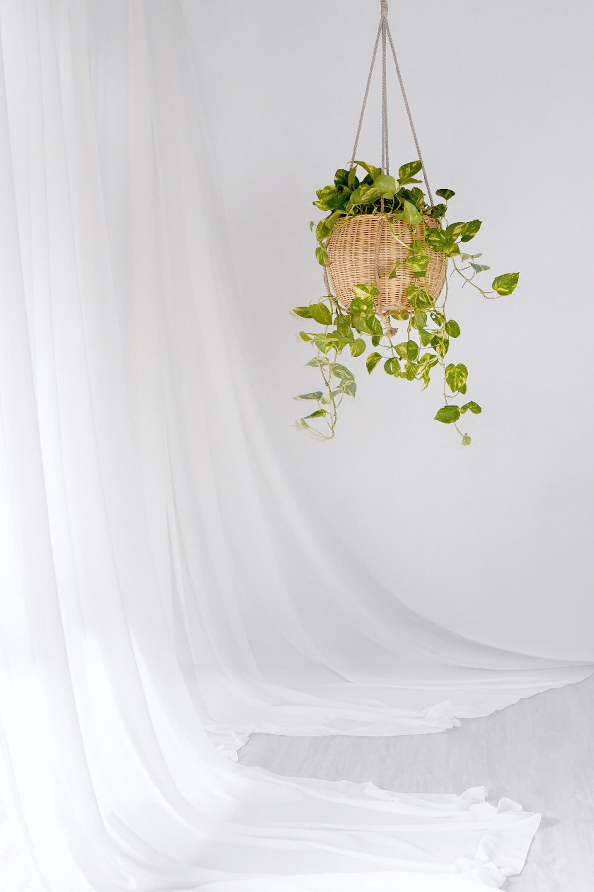 Hellga Hanging Flower Basket