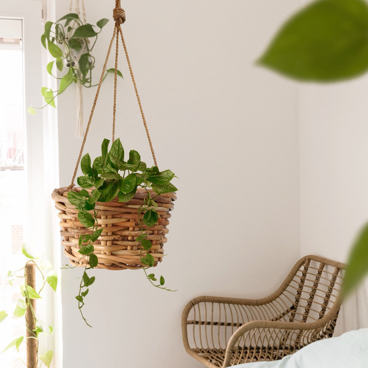 The Saint Tropez basket – natural materials, boho decor handmade in Bali