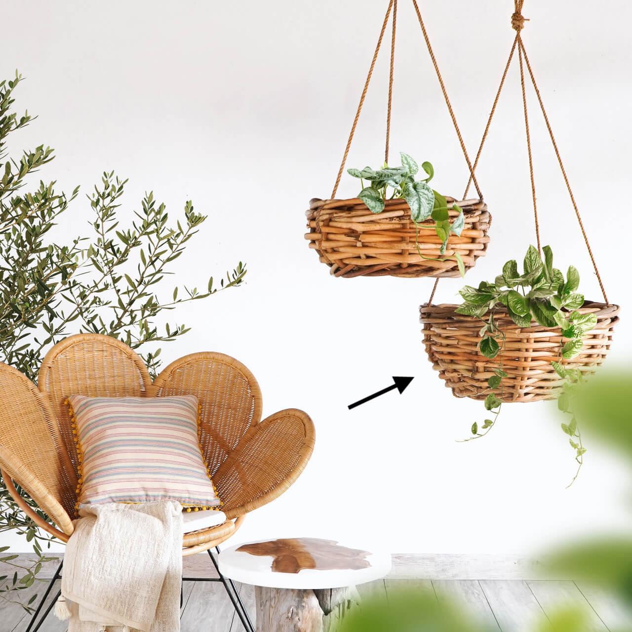 Saint Tropez Hanging Basket