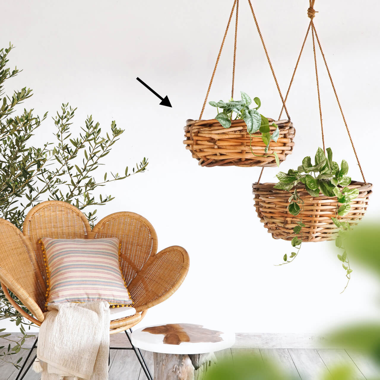 Saint Tropez Hanging Basket