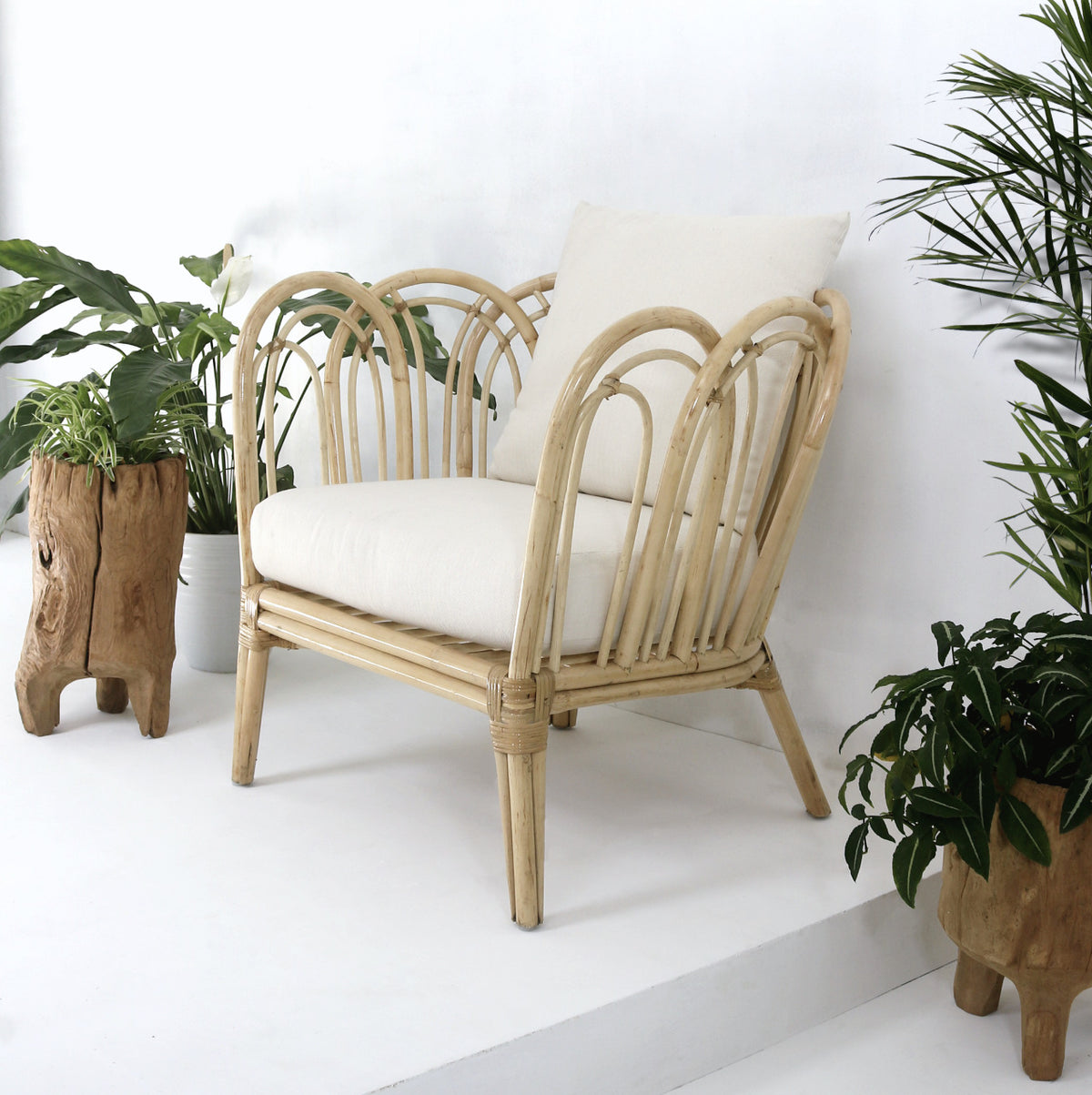 Tania Chair With Cushion Set