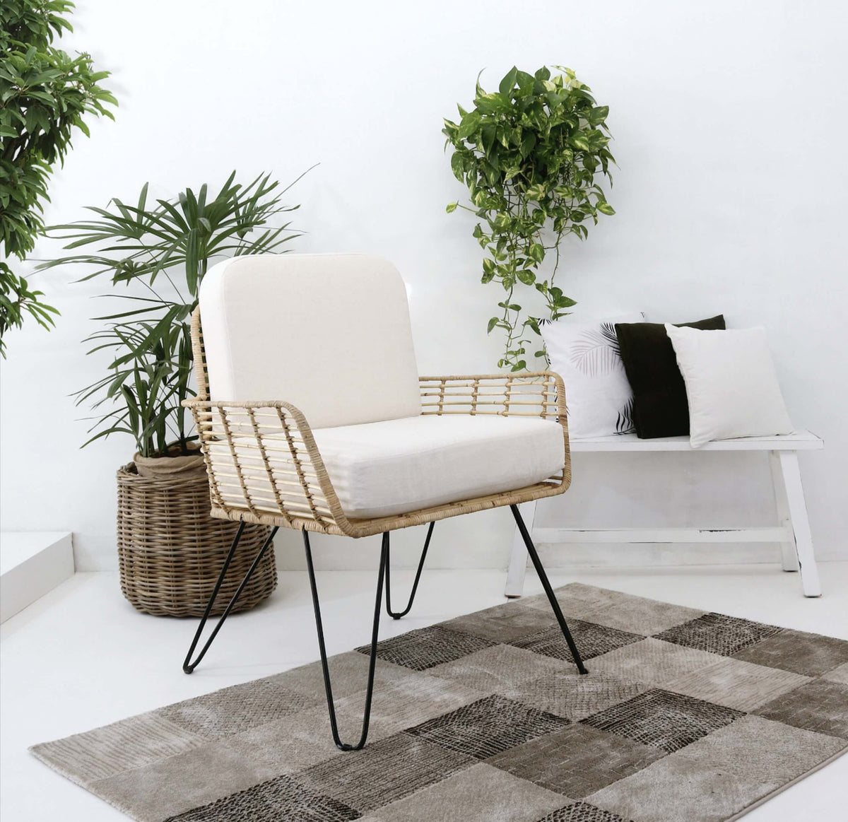 Carmen Chair With Cushion Set – Set of 2