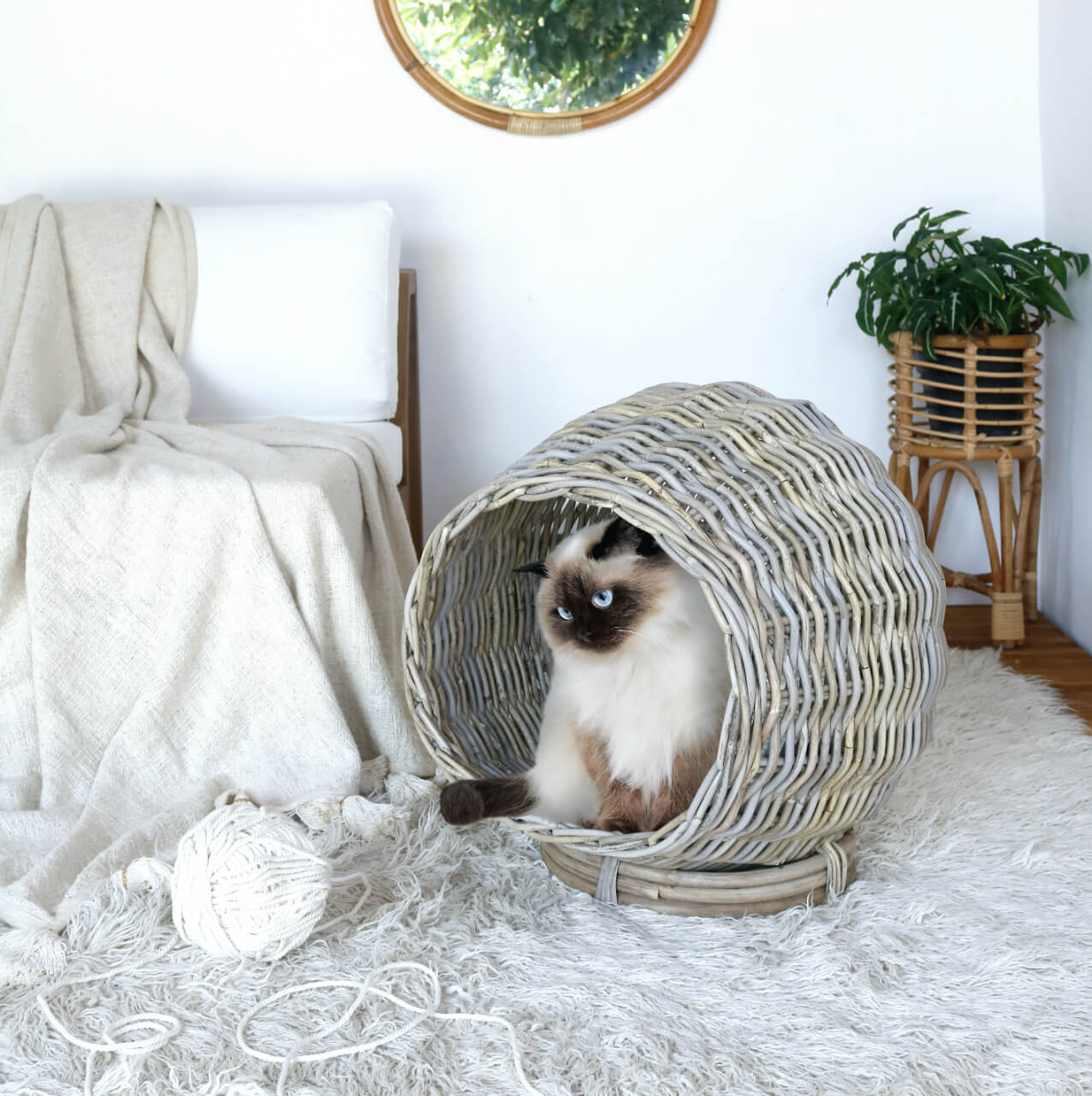 Cat Basket Without Cushion