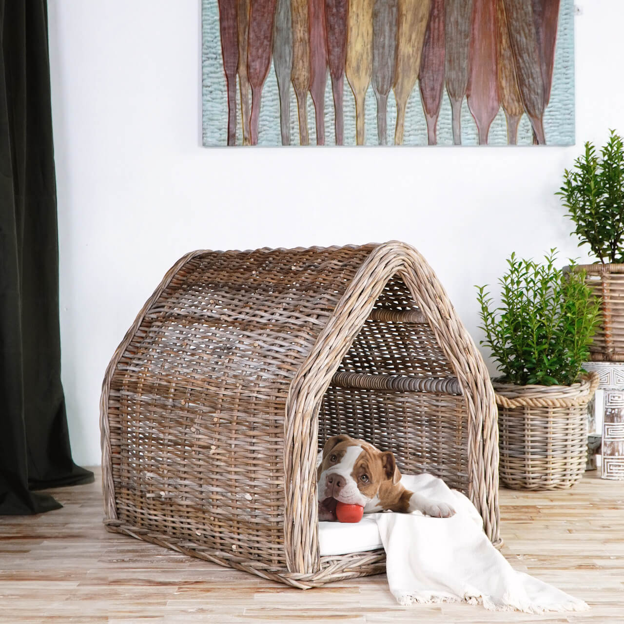 Dog Basket With Cushion