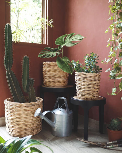 Bali Furniture – Rio Round Baskets Set Of Three – The Rio Round Baskets Set Of Three adds 