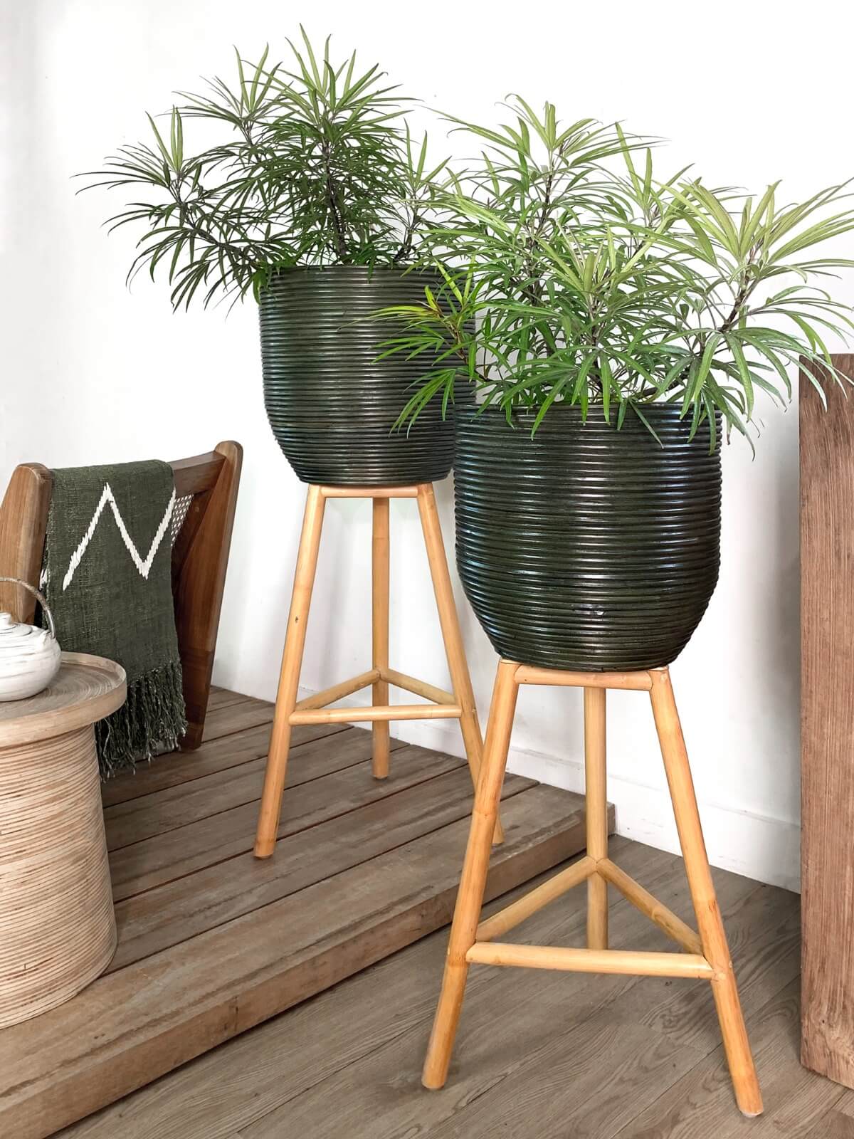 Amarilis Planstand Set Of Two