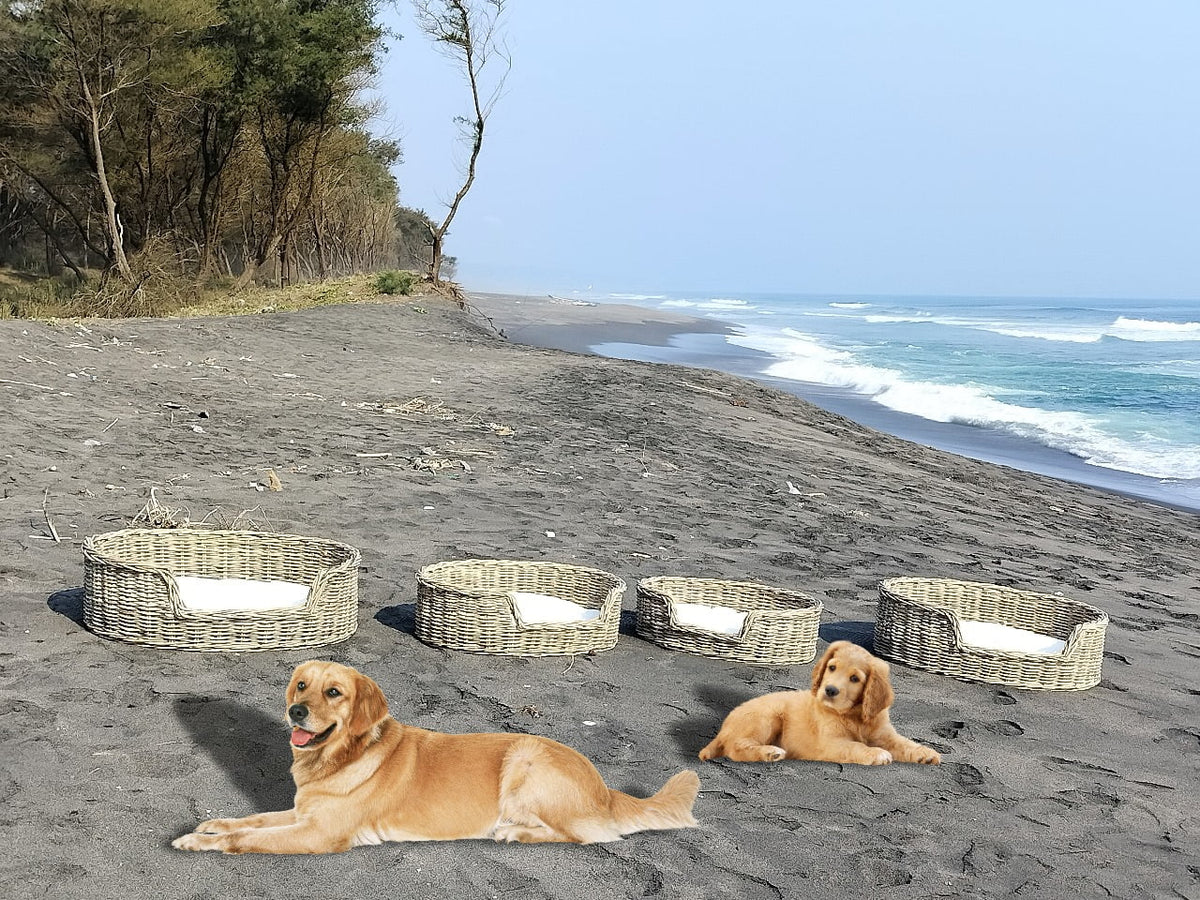 Rattan basket – Momo Dog – boho decor handmade in Bali by BaliSouk