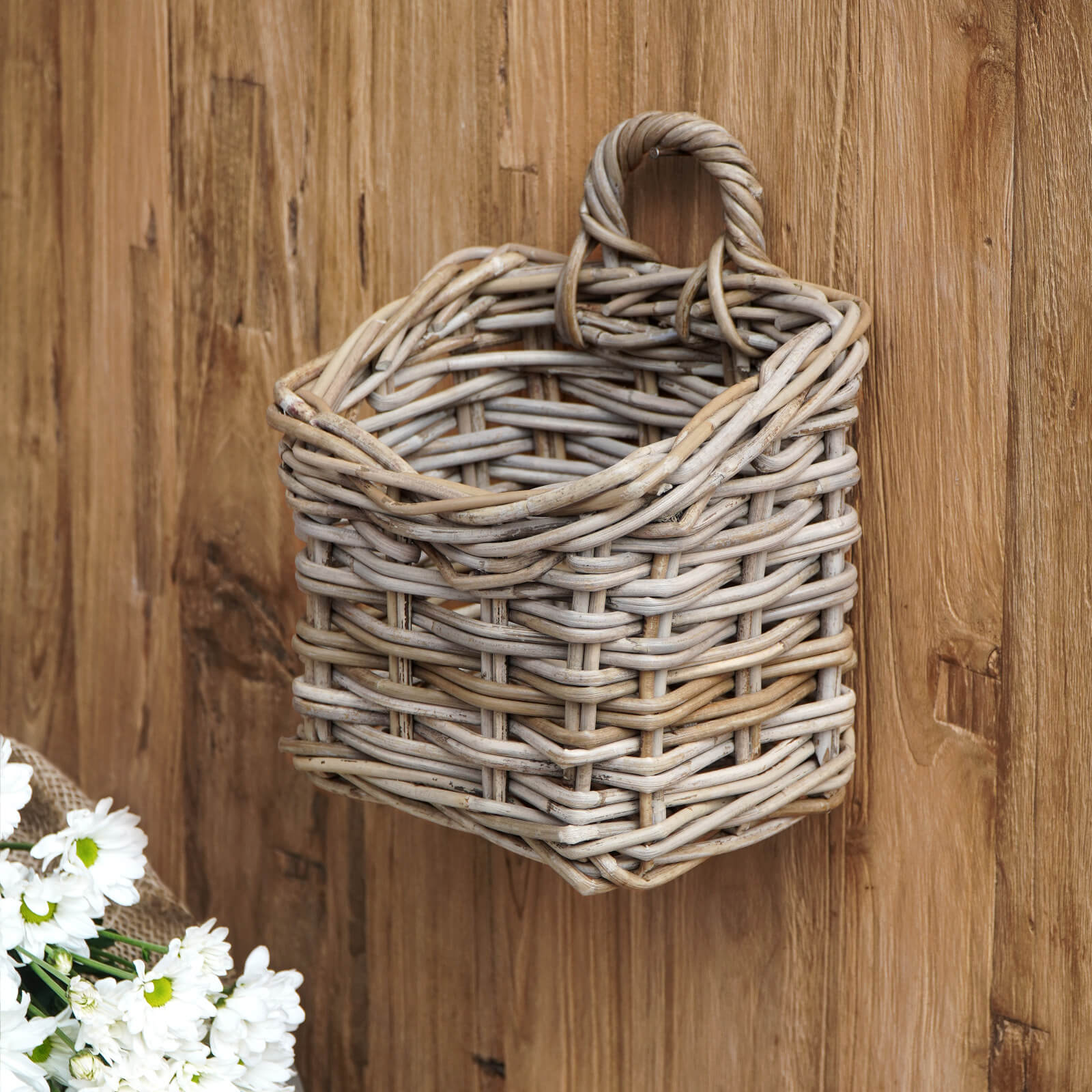 Ammi Hanging Basket