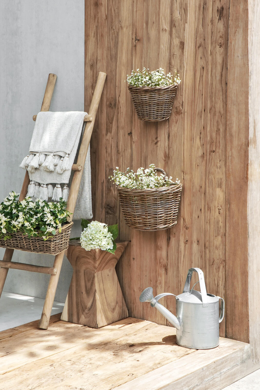 Aster Hanging Basket Small