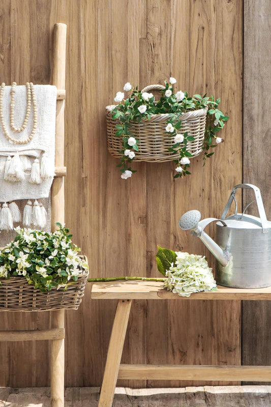 Azalea Hanging Basket