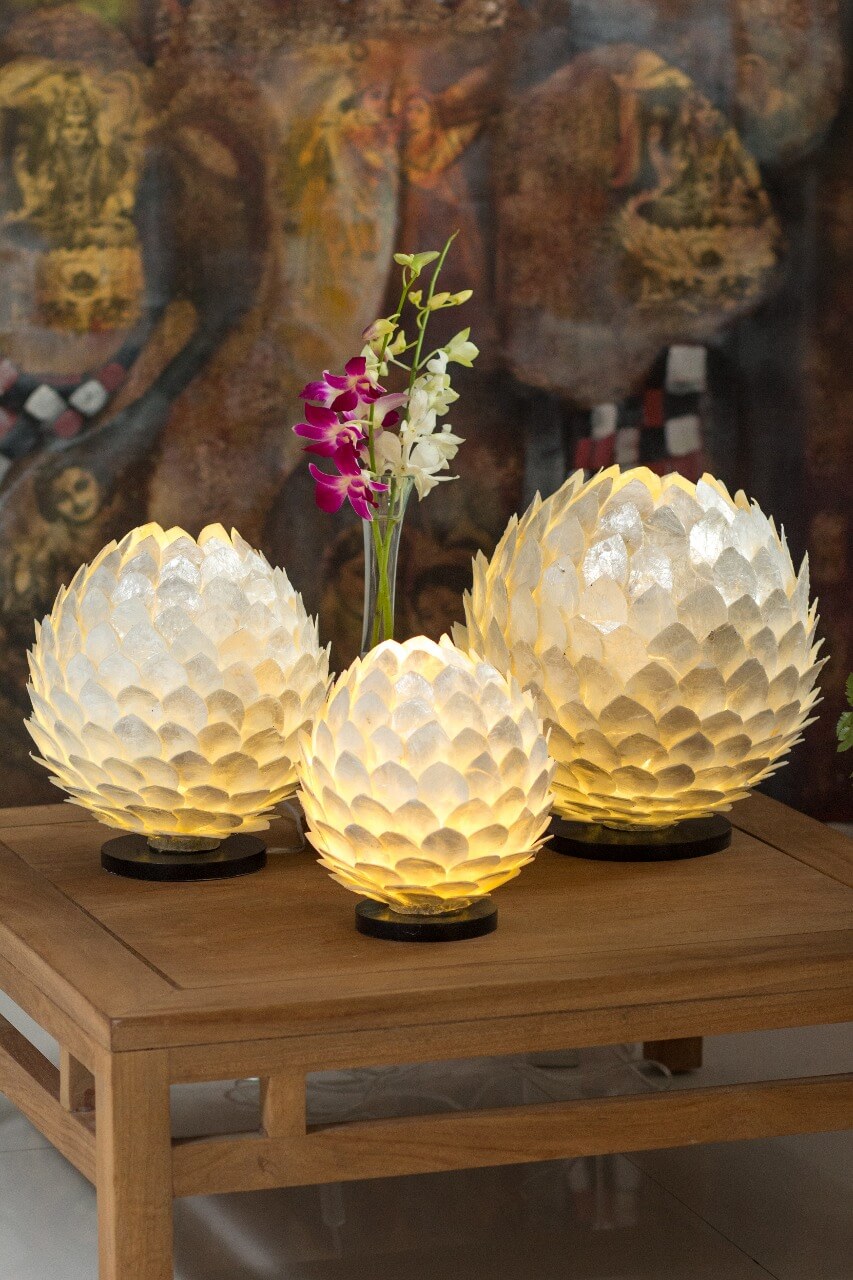 Shell Lamp Set 3 Without Electric Cable