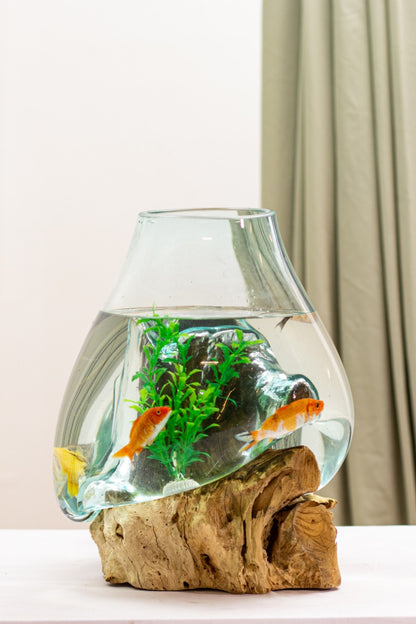 Teak aquarium Solo Water Drop – handmade in Bali, boho style
