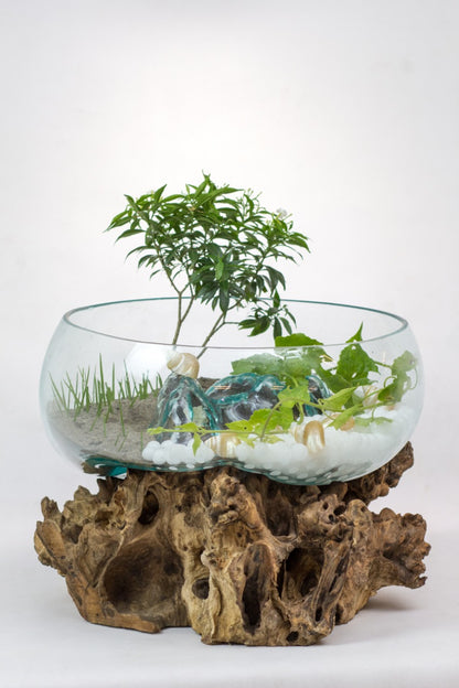 Reclaimed wood fish bowl Water Drop – boho decor, handwoven and handmade in Bali