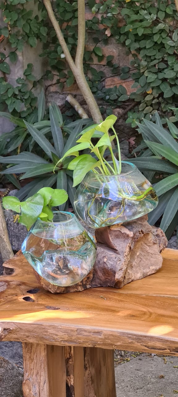 Twin Water Drop