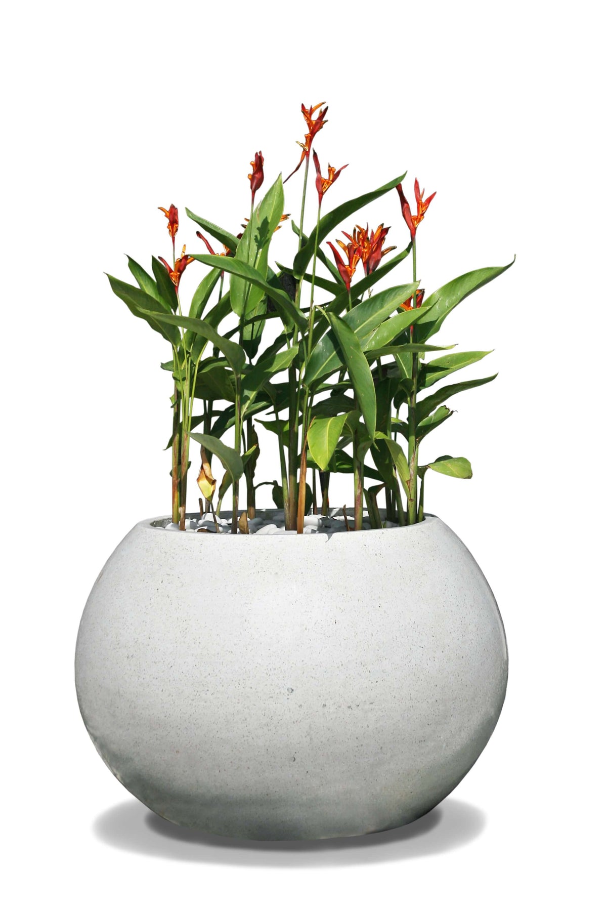 Bottle Vase