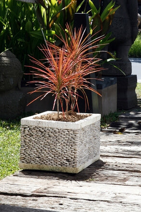 Martin Square Stone Pot