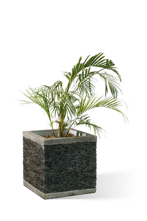 Martin Square Sharp Stone Pot Black