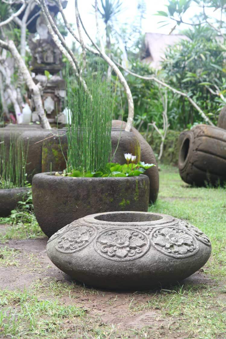 Teratai Panter