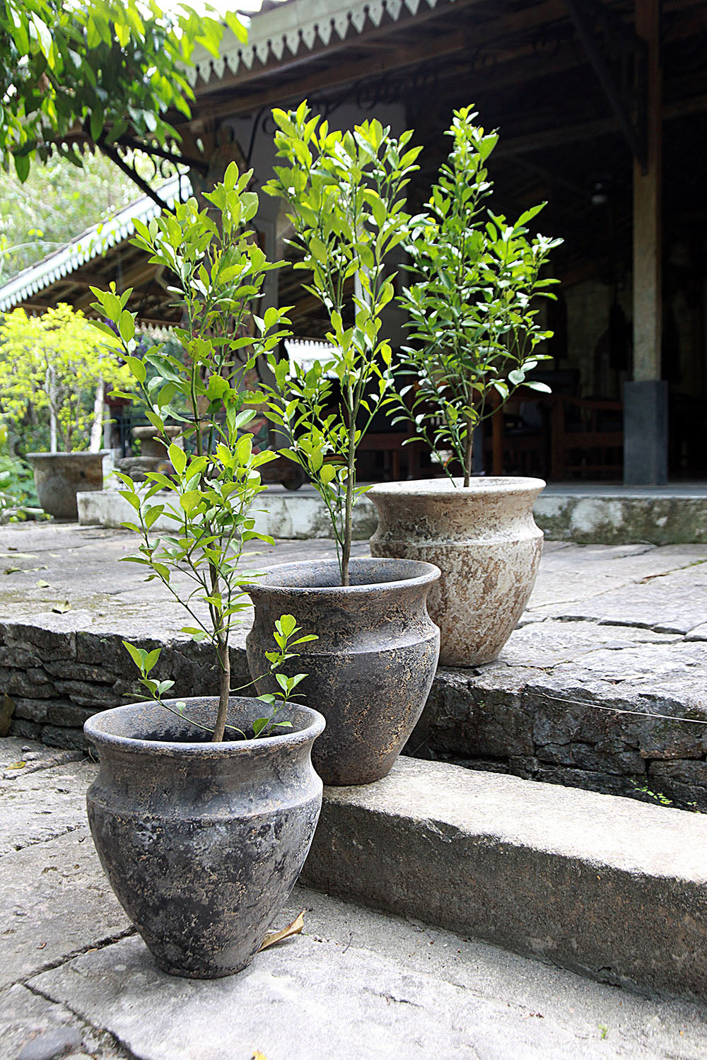 Koroni – natural materials pot, boho decor from Bali