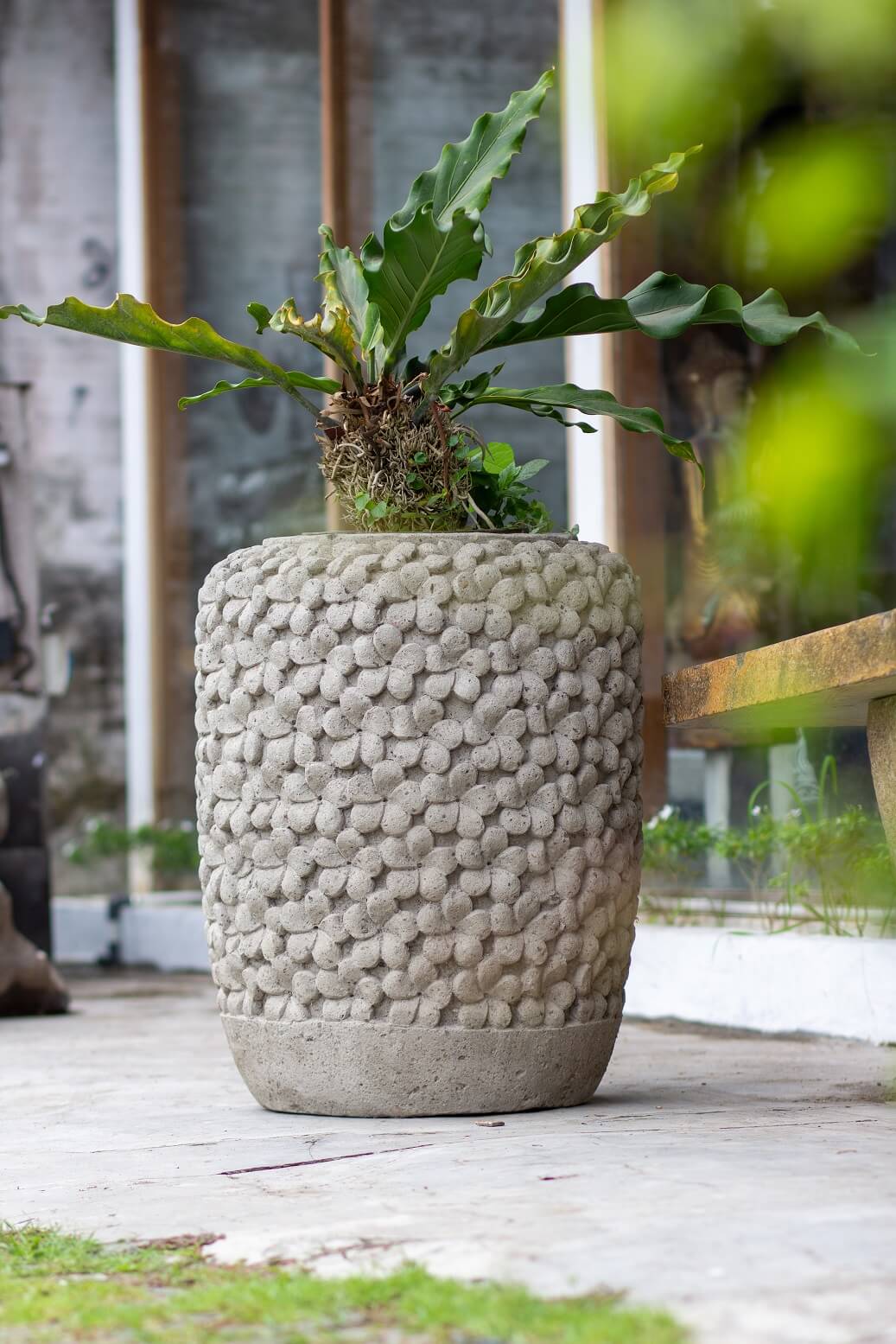 Champa Planter