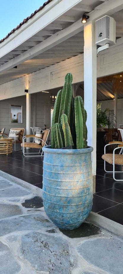 Bali Furniture – Caledonia Pot