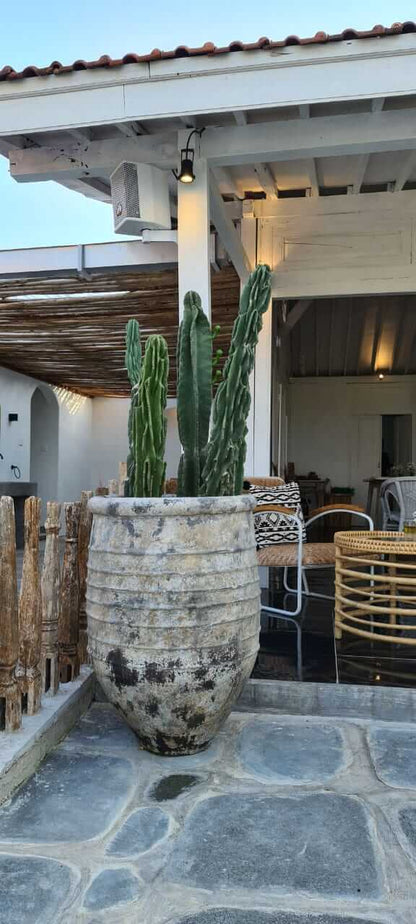 Bali Furniture – Caledonia Pot
