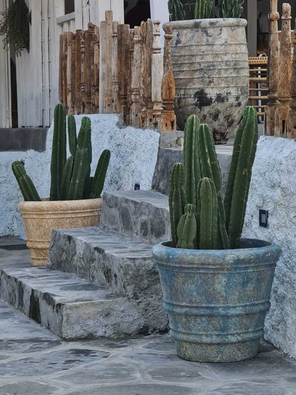 Bali Furniture – Caledonia Pot