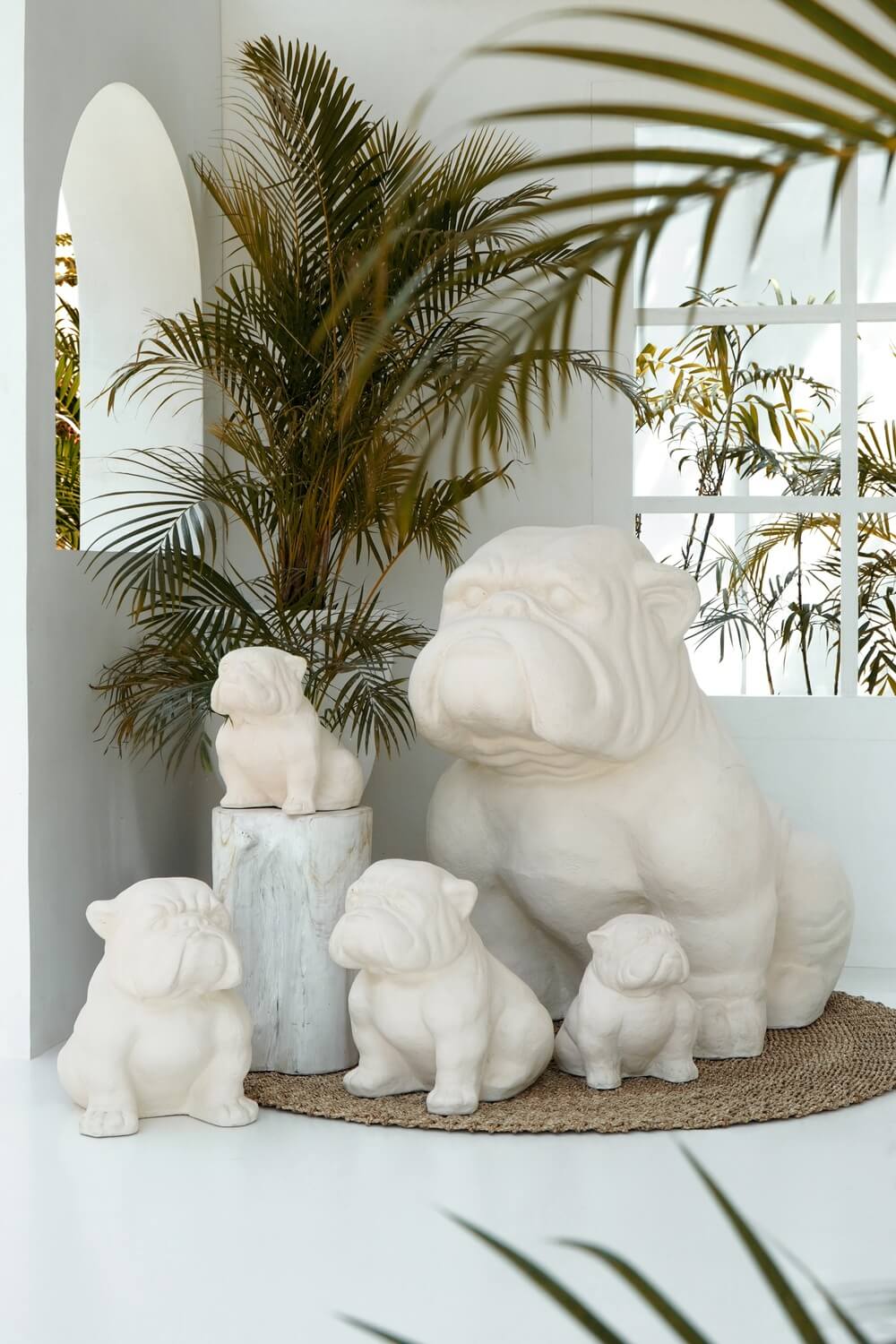 Bulldog Medium White