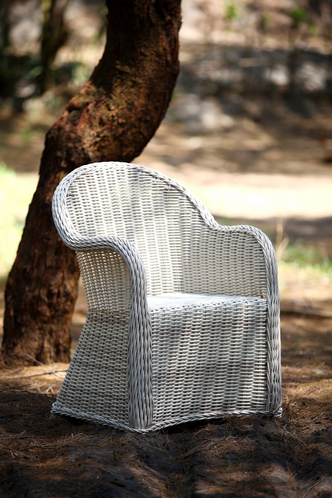 Exotic Dining Chair With Cushion Seat