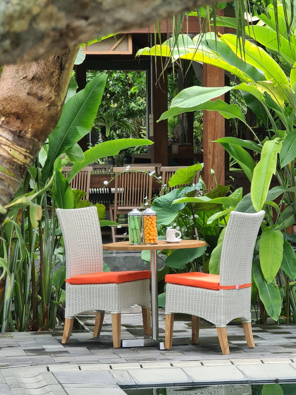 Rio Synthetic Dining Chair With Orange Cushion